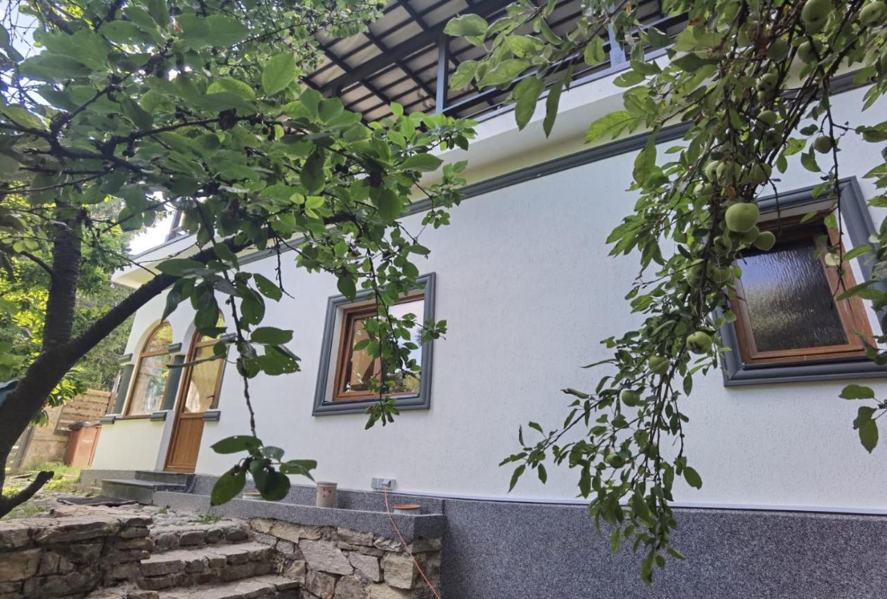 Vila Zia Hotel Corbeni Exterior photo